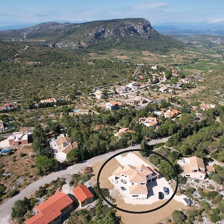 Trois Appartements Au Sein Du Mas Jams - Le Gouleyrous, Le Canigou Et Le Figarassa Vingrau 外观 照片